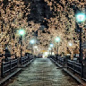 Meet your Posher, Bree